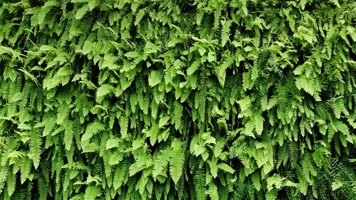Best Ornamental Plants for Vertical Gardens