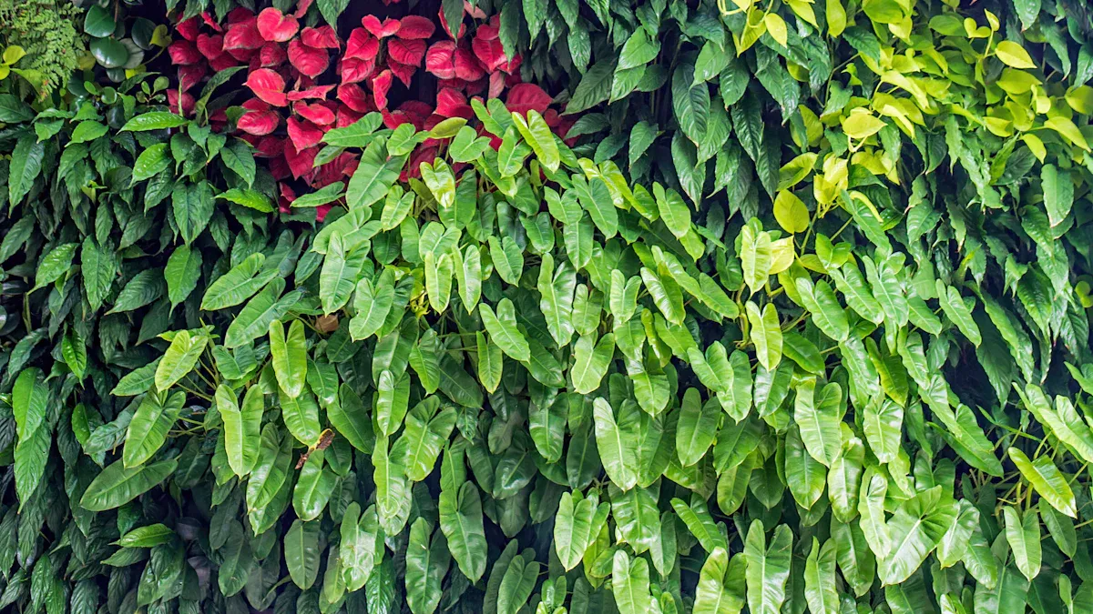 Best Edible Plants for Vertical Gardens
