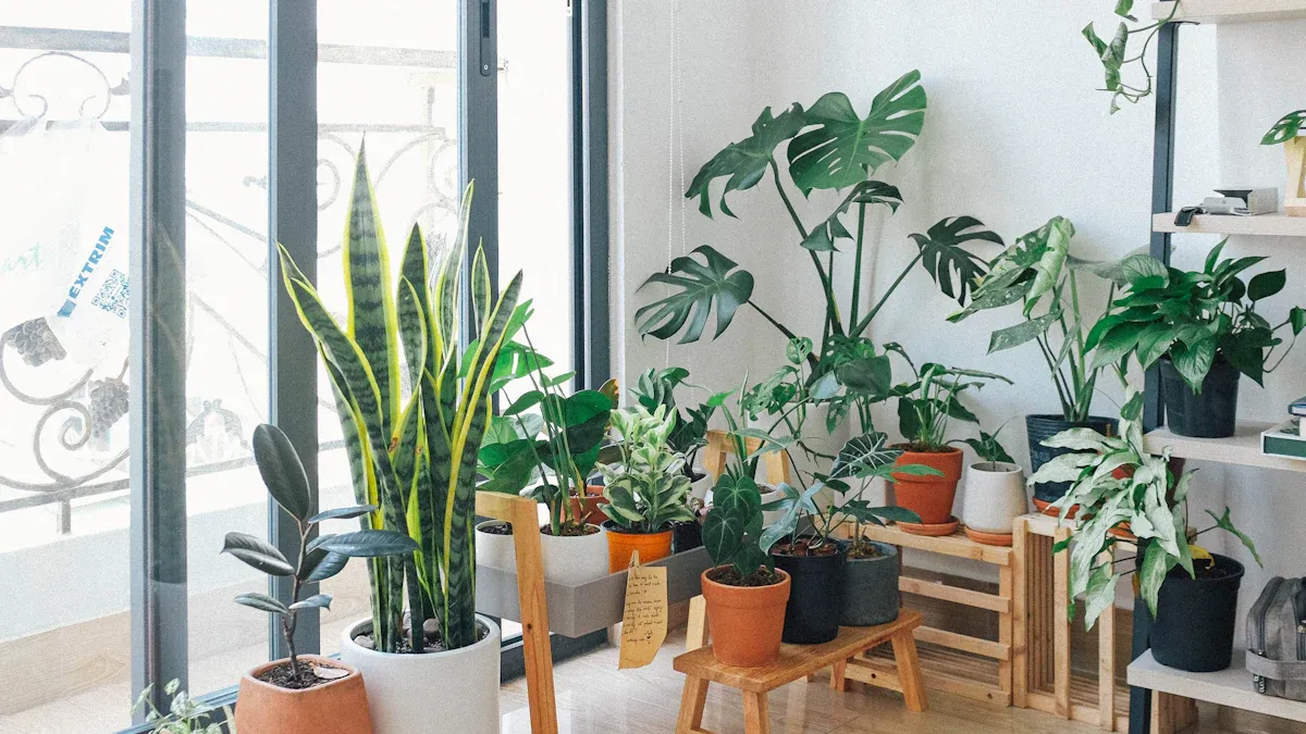 Choose Plants to Grow