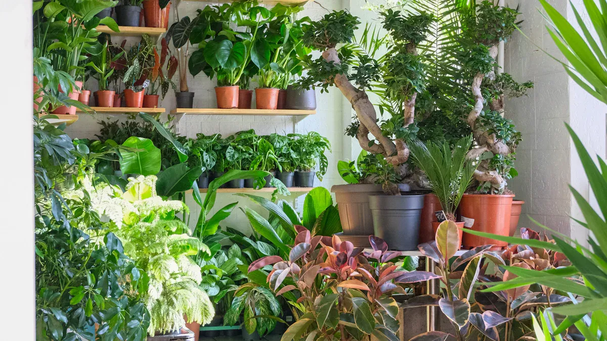 Start Apartment Garden