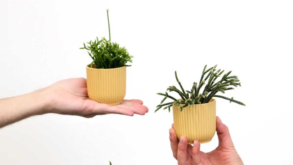 Small Plants for Small Pots