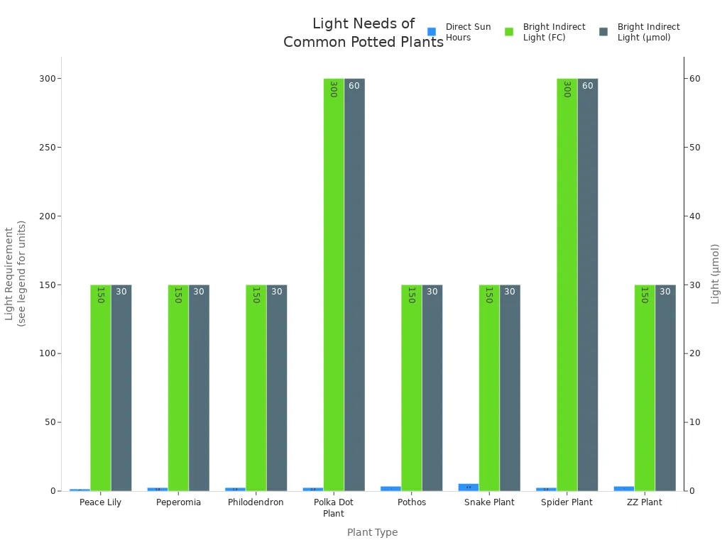 Grouped bar chart comparing direct sun hours and bright indirect light for eight small potted plant types.