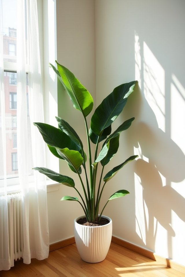 low maintenance indoor elegance